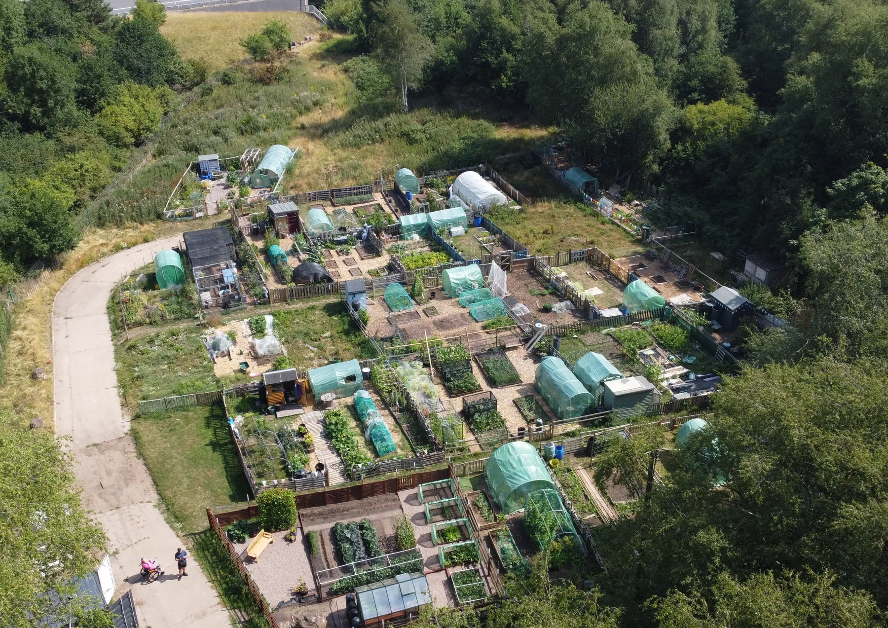 Wharfside Park Allotments beside the Wyrley and Essington Canal